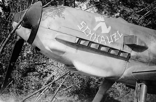  Messerschmitt Bf.109 E-3   Schnauzl,      5./JG3